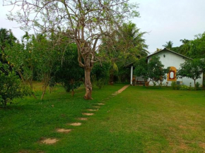 Hideaway Homestay Habarana